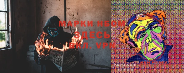 винт Алзамай