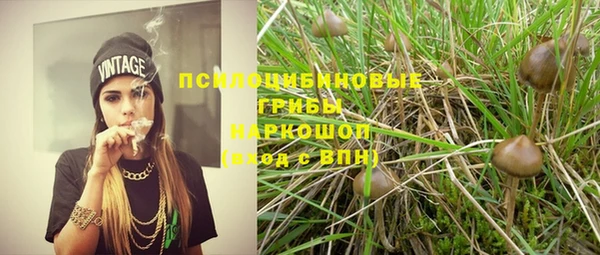 синтетический гашиш Алексин