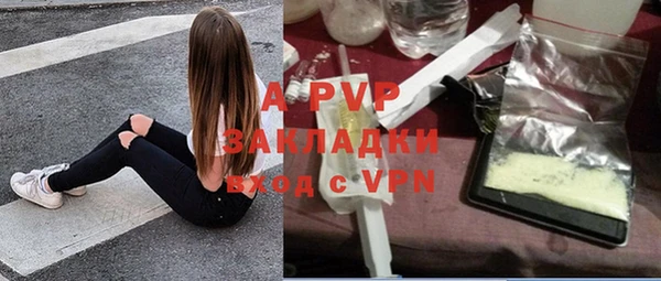 винт Алзамай