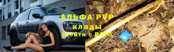 винт Алзамай
