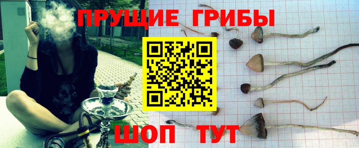 Псилоцибиновые грибы прущие грибы  Галлюциногенные грибы мухоморы  Белебей  Вход с VPN 